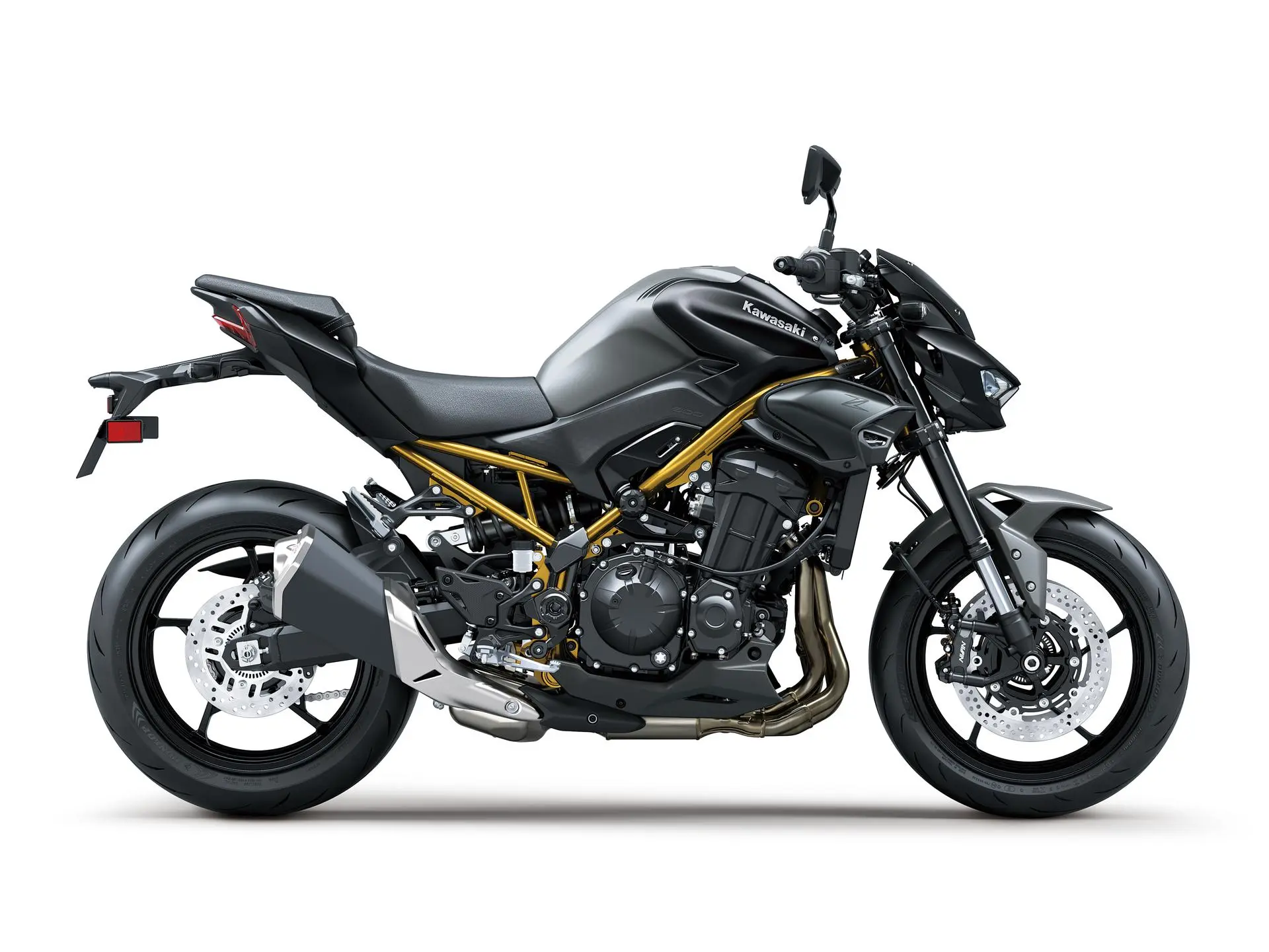 Z900 2026 - image 1