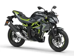 Z125 2026