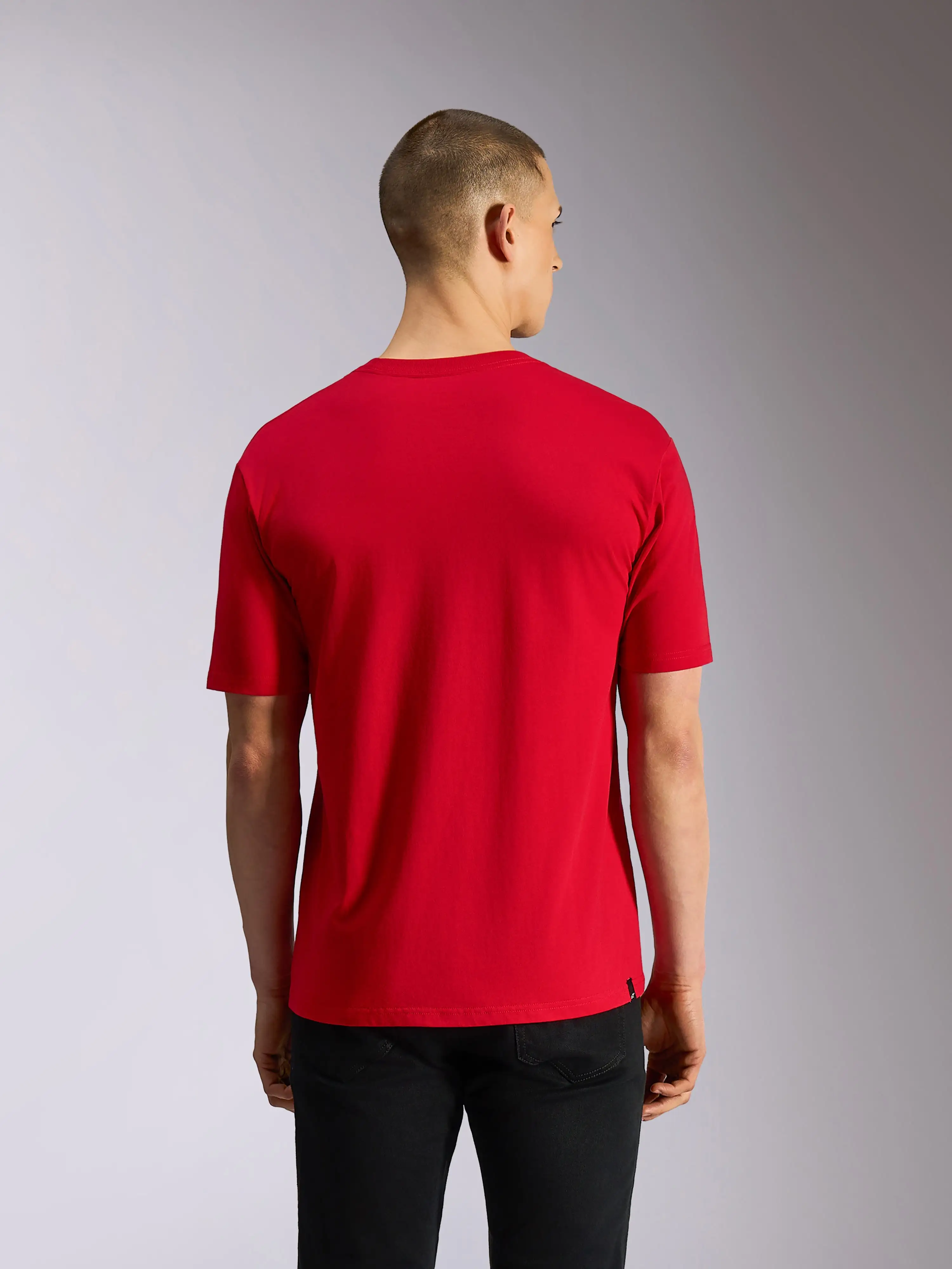 Plate CSF Tee - Short Sleeve - image 1