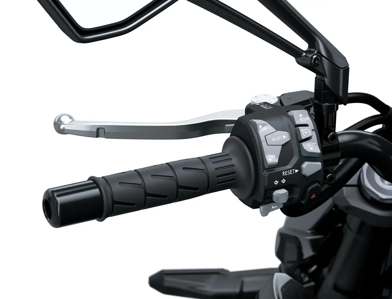 Electronic Cruise Control Electronic Cruise Control