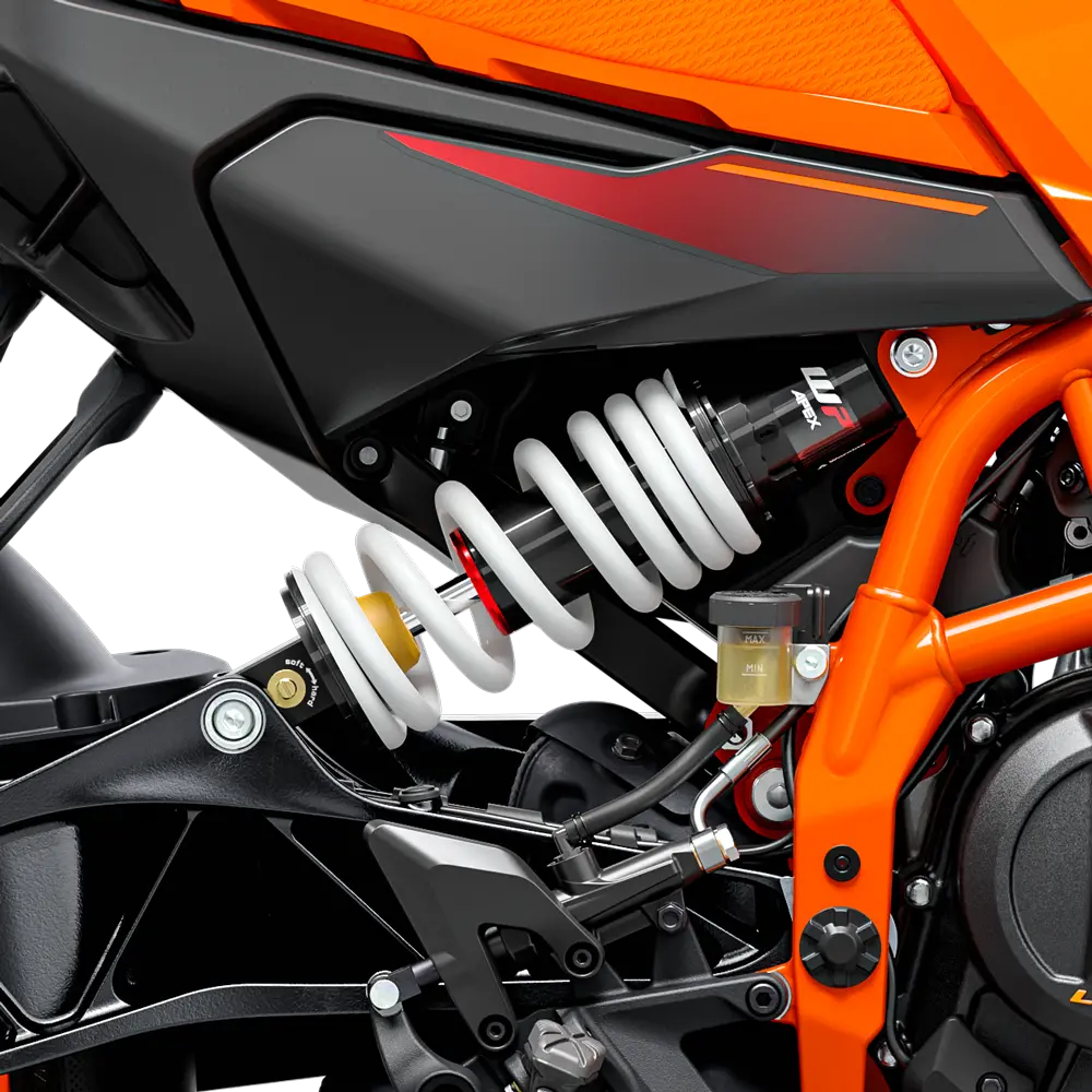 Rear Shock